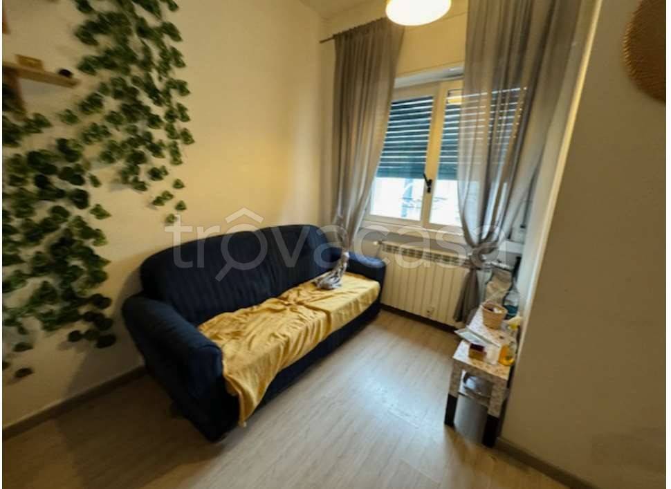 immagine annuncio 6 di 12