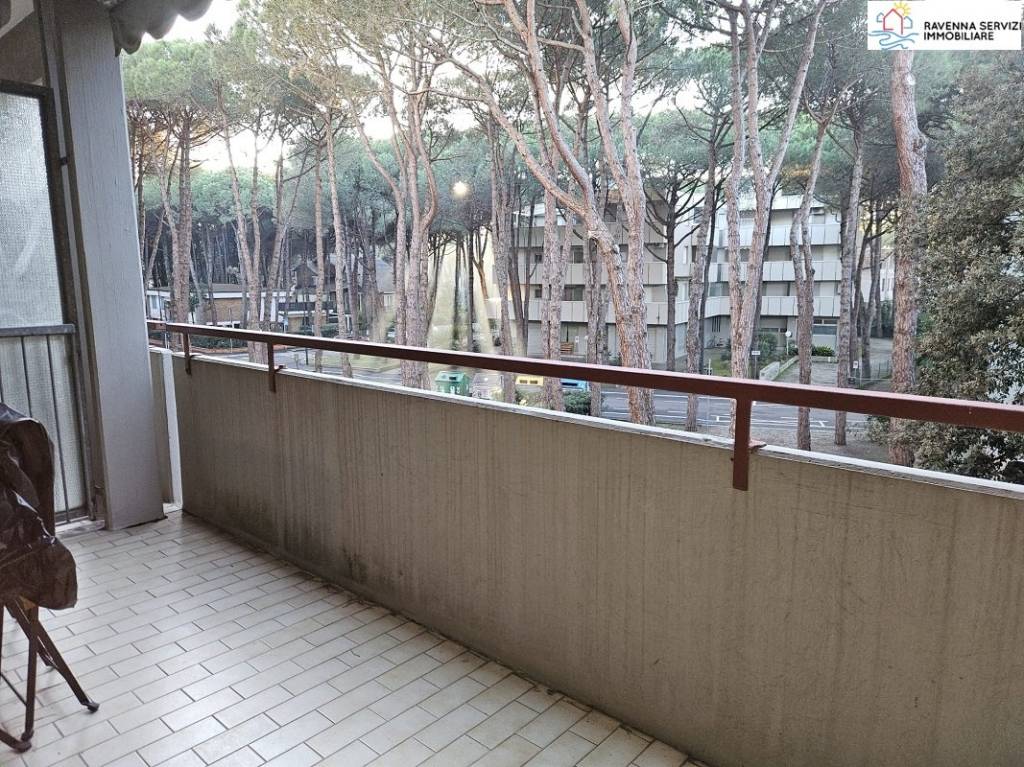 immagine annuncio 4 di 9