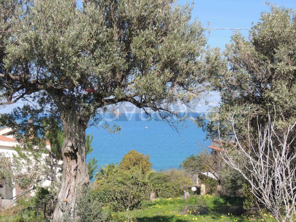 immagine annuncio 2 di 14