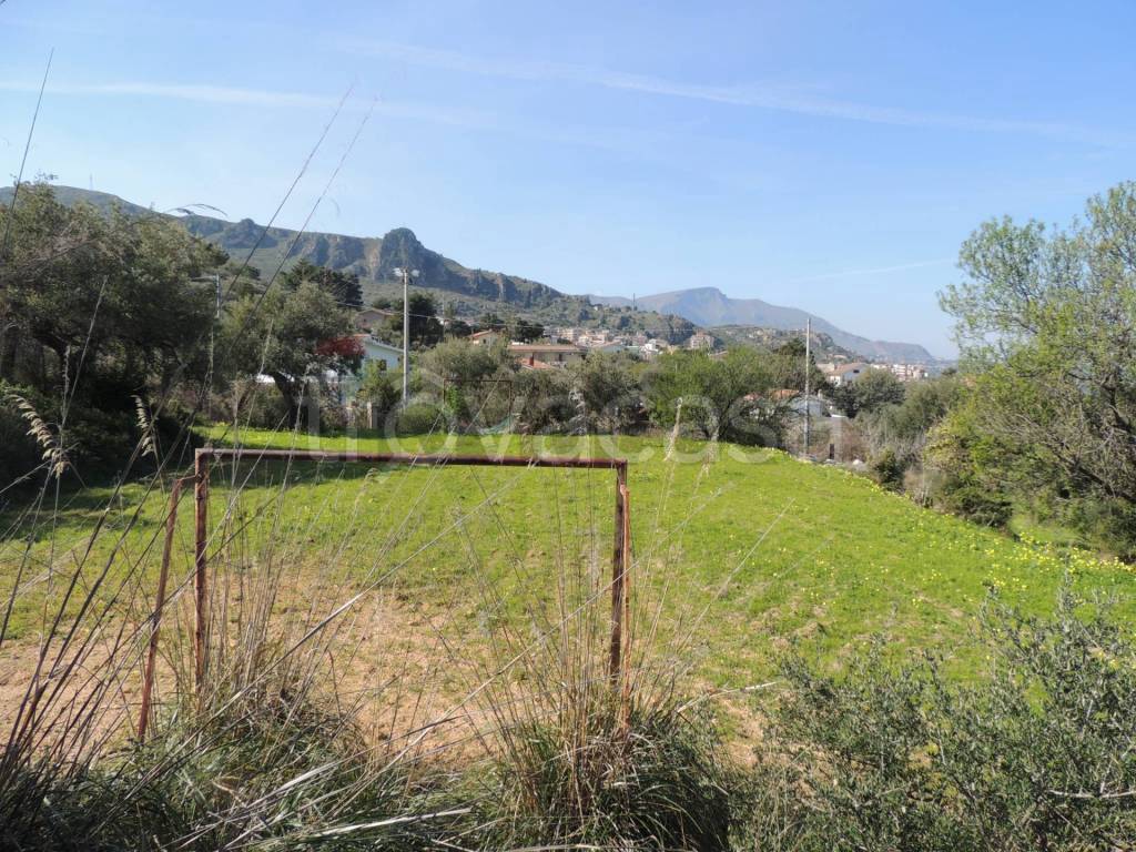 immagine annuncio 11 di 14