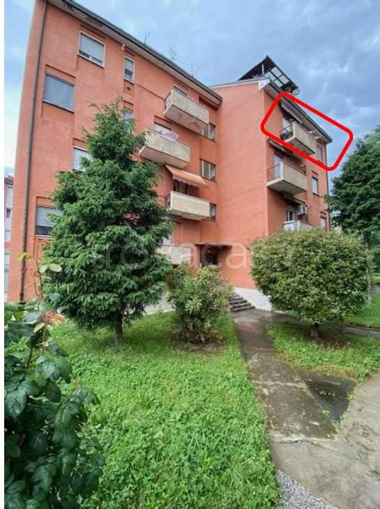 immagine annuncio 3 di 13