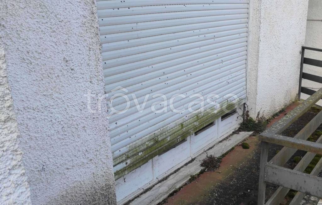 immagine annuncio 7 di 12