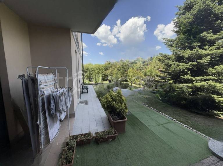 immagine annuncio 6 di 12