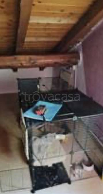 immagine annuncio 1 di 9