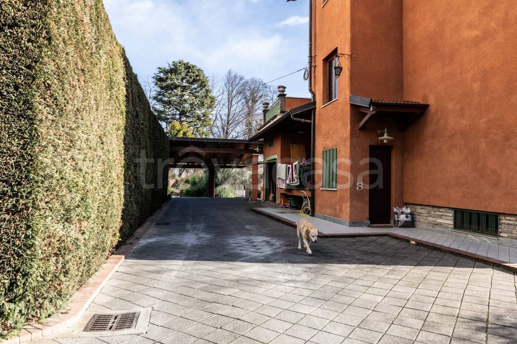 immagine annuncio 2 di 15