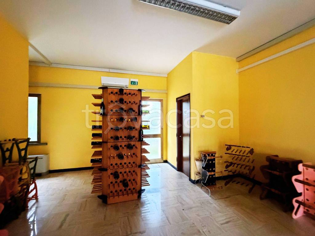 immagine annuncio 5 di 14