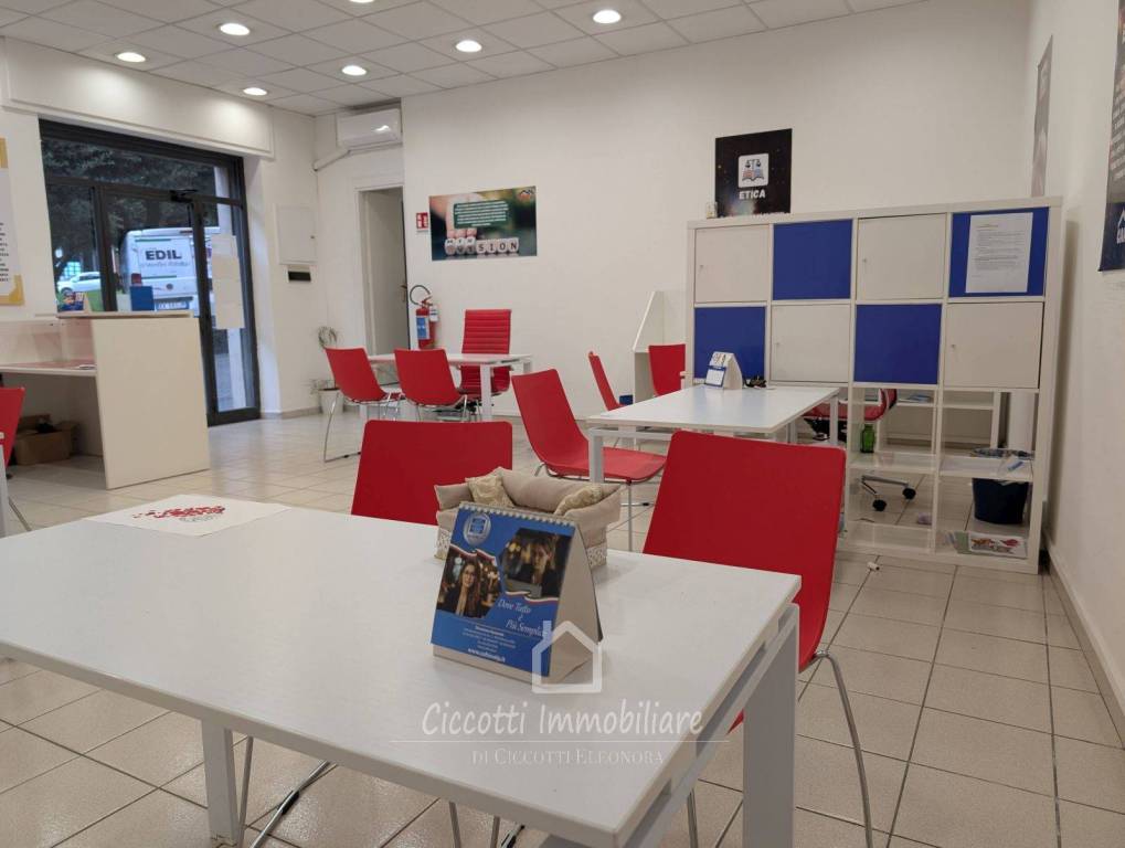 immagine annuncio 8 di 15