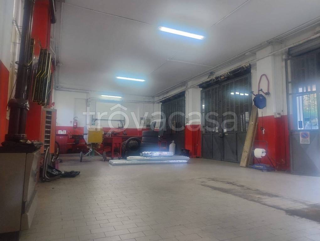 immagine annuncio 4 di 8