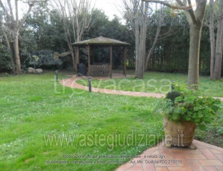 immagine annuncio 5 di 14