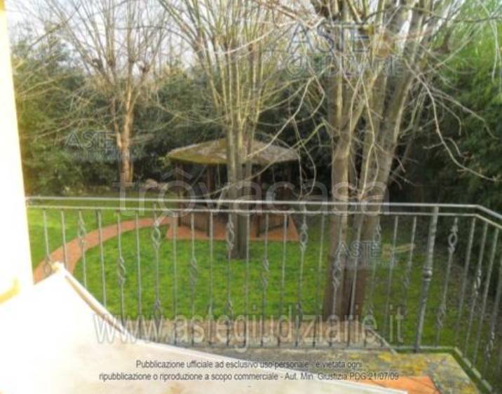 immagine annuncio 12 di 14