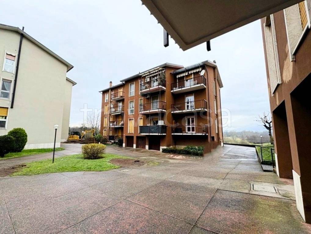 immagine annuncio 2 di 12