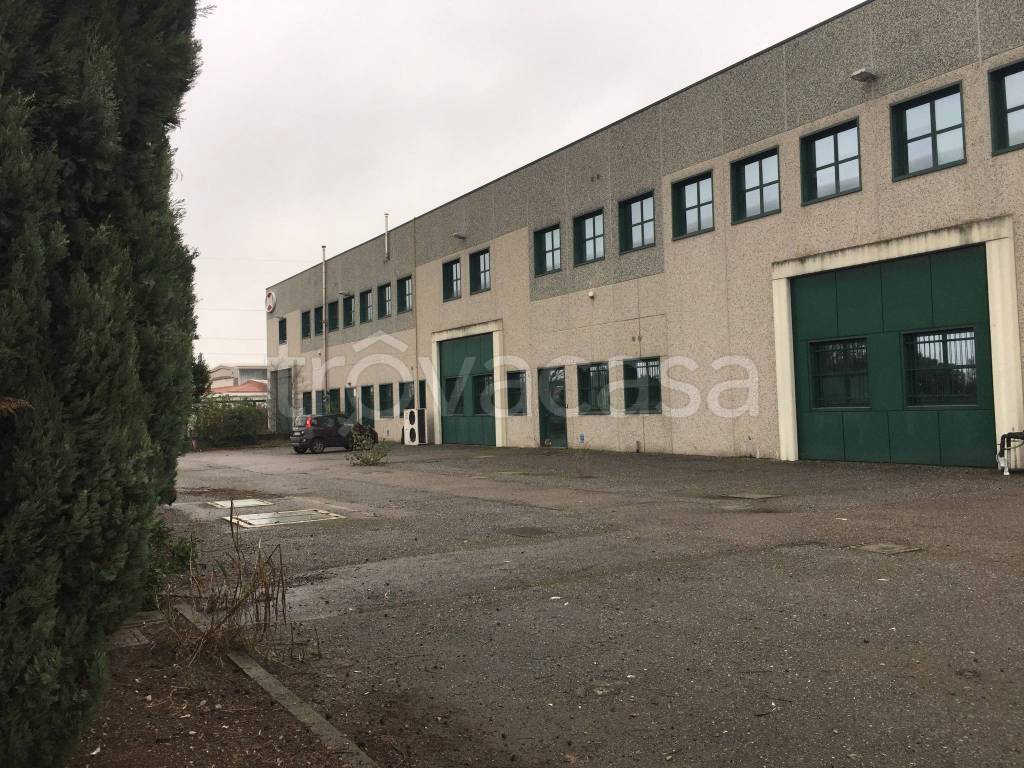 immagine annuncio 1 di 10