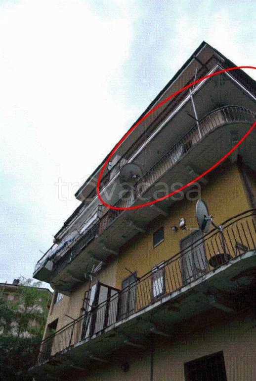 immagine annuncio 2 di 12