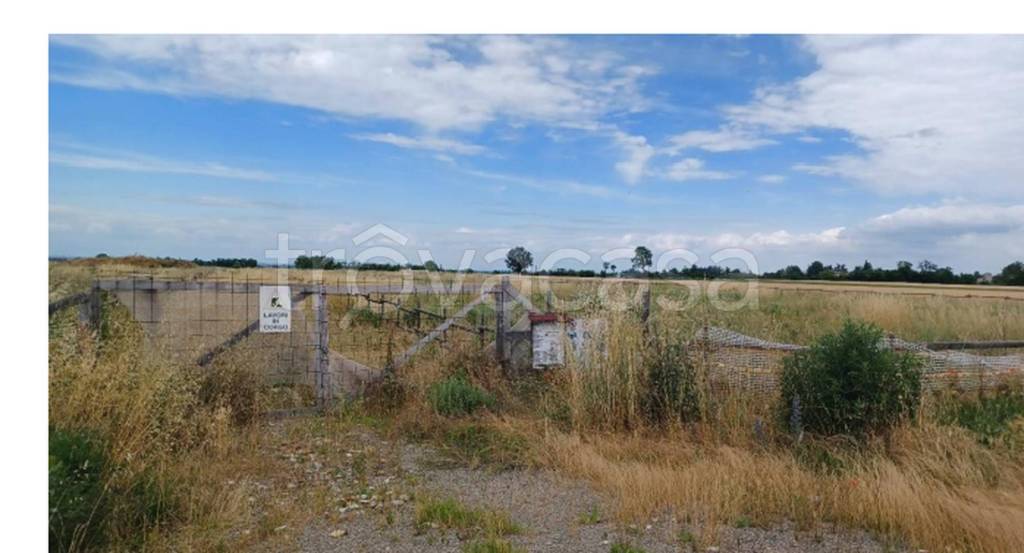 immagine annuncio 4 di 11