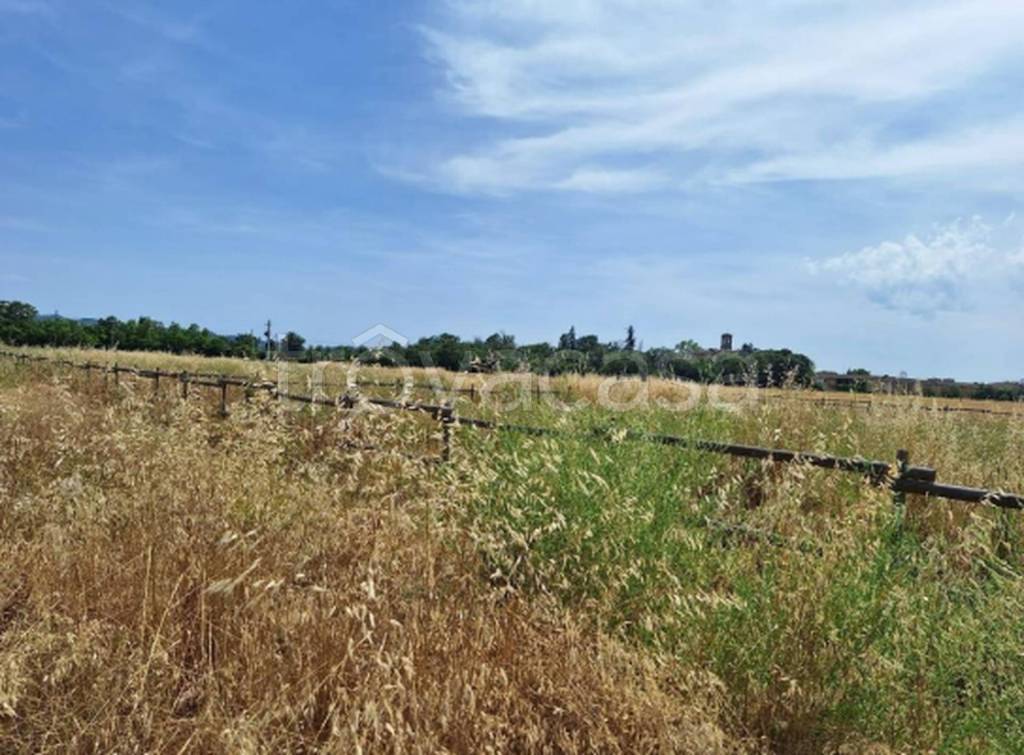 immagine annuncio 6 di 11