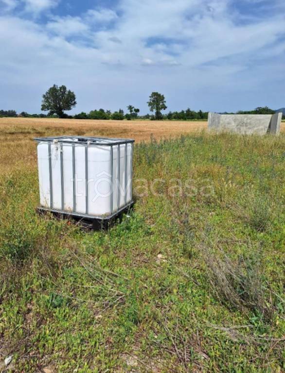 immagine annuncio 7 di 11