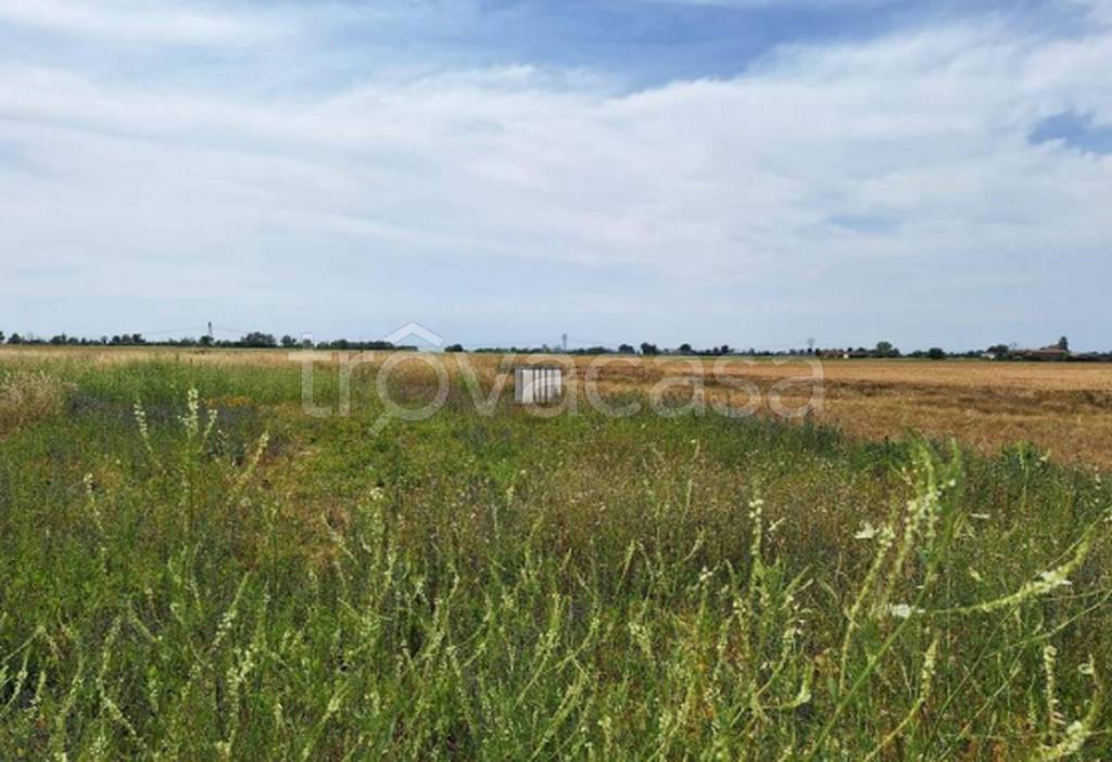 immagine annuncio 9 di 11