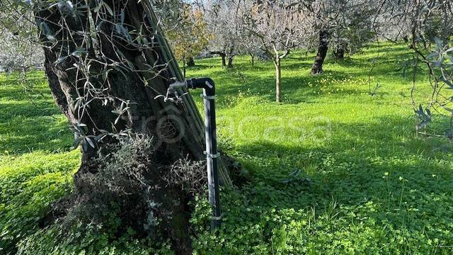 immagine annuncio 5 di 6