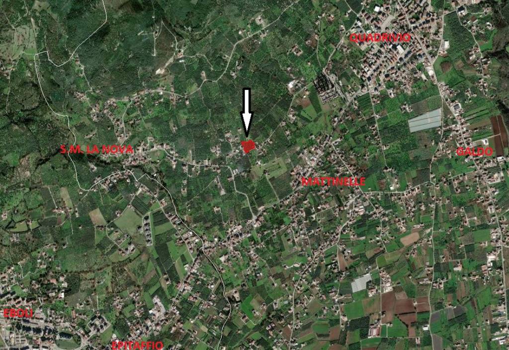 immagine annuncio 2 di 6