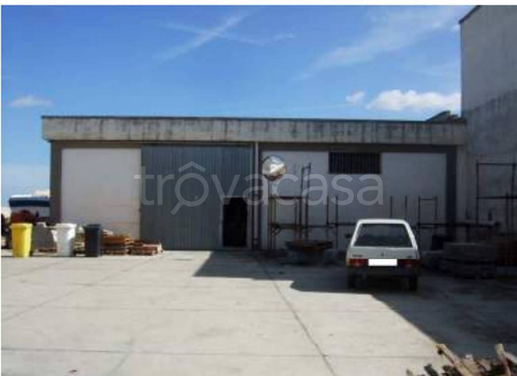 immagine annuncio 2 di 11