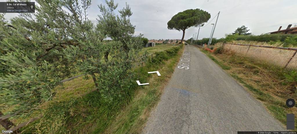 immagine annuncio 9 di 13