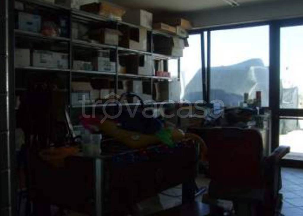 immagine annuncio 4 di 14