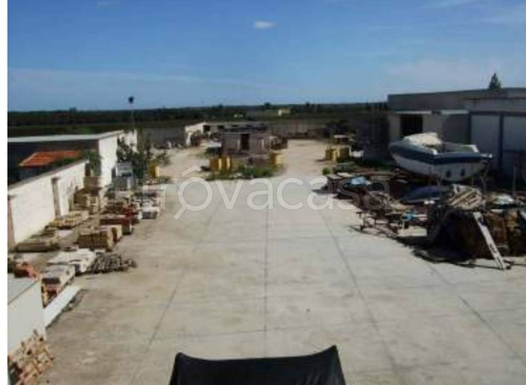 immagine annuncio 3 di 11