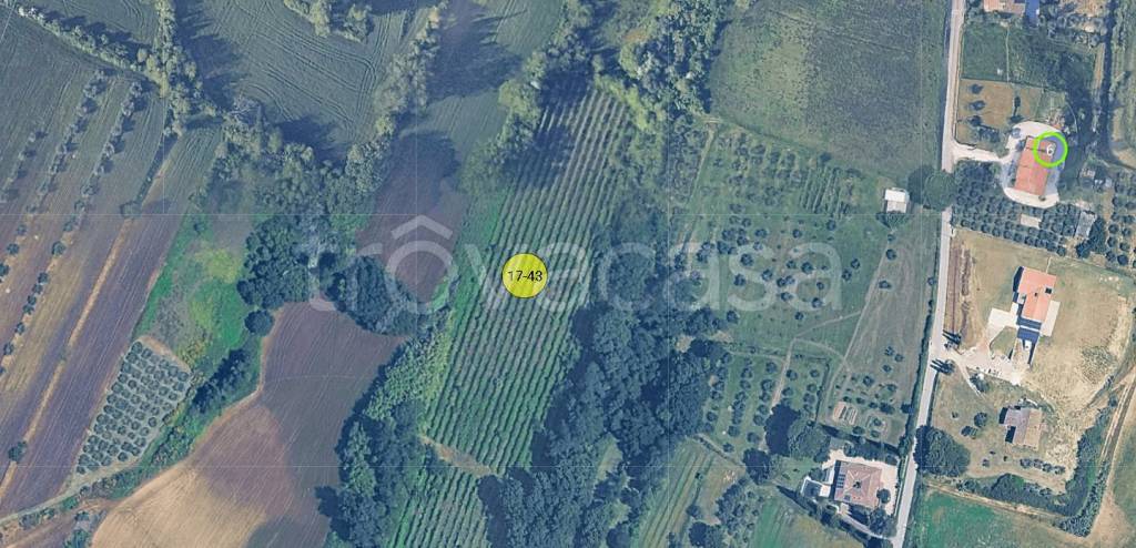 immagine annuncio 12 di 13