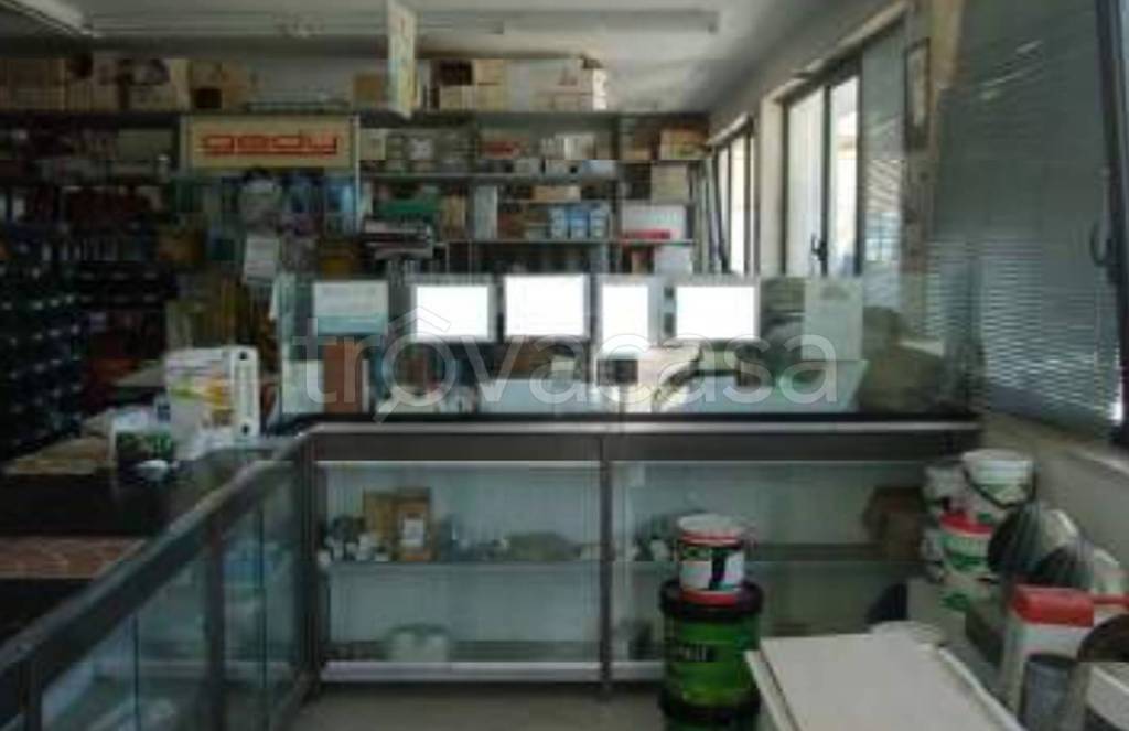 immagine annuncio 5 di 14