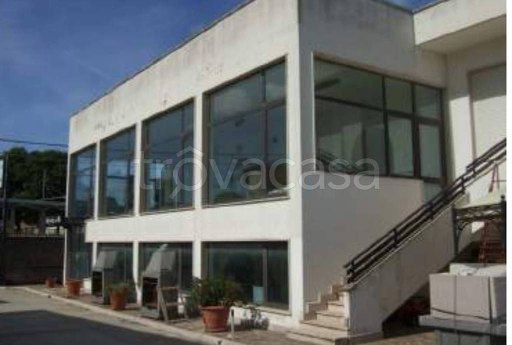 immagine annuncio 7 di 14