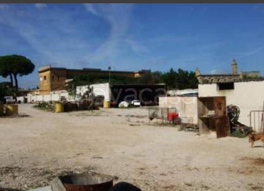 immagine annuncio 8 di 11