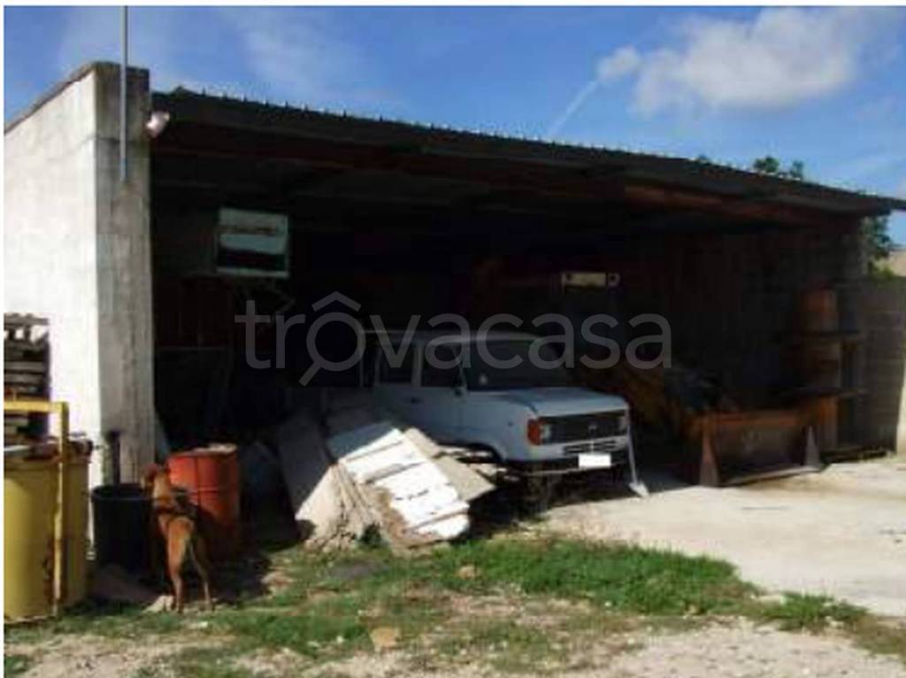 immagine annuncio 9 di 11