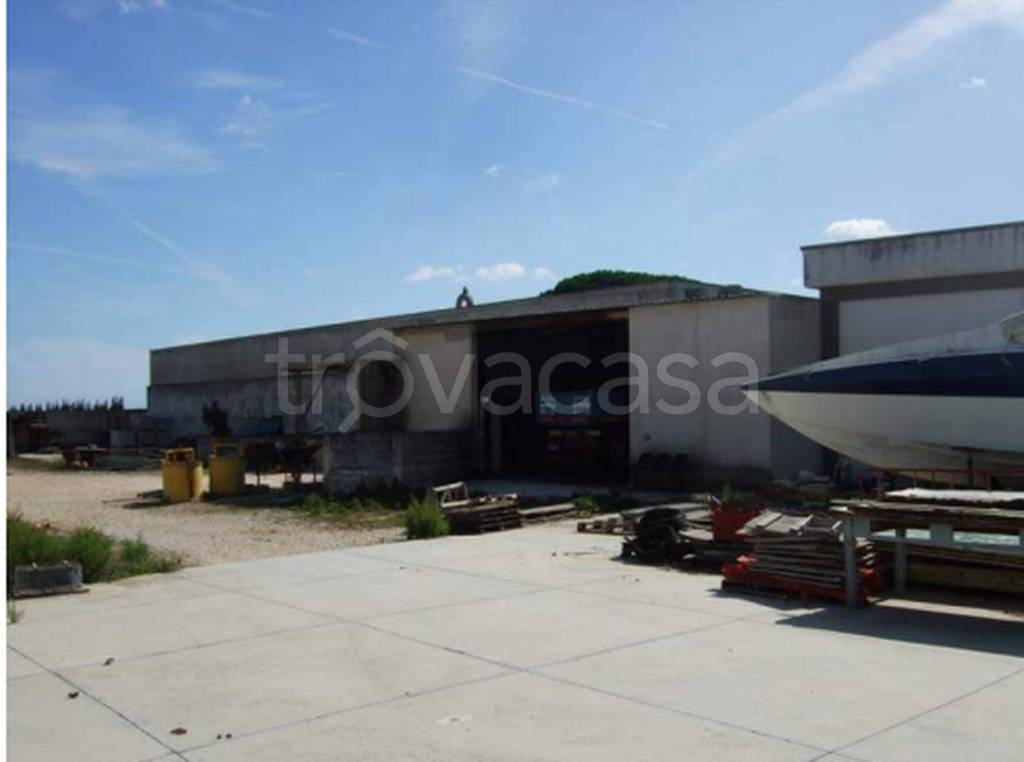 immagine annuncio 10 di 11