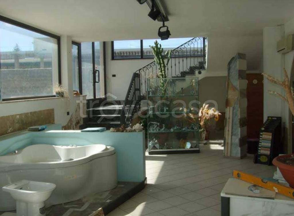 immagine annuncio 12 di 14