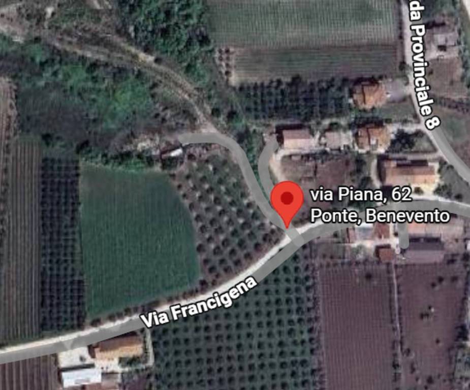 immagine annuncio 2 di 11