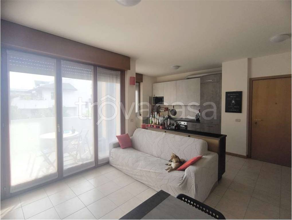 immagine annuncio 5 di 15