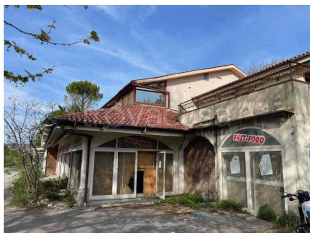 immagine annuncio 5 di 11