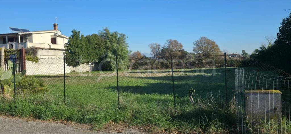 immagine annuncio 4 di 7