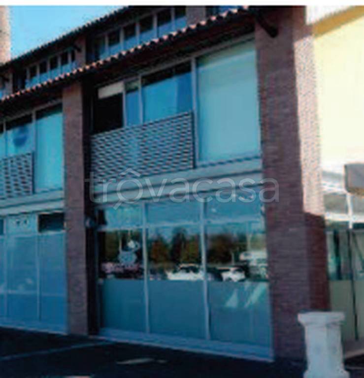 immagine annuncio 9 di 11