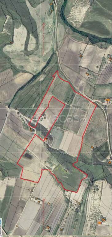 immagine annuncio 1 di 14