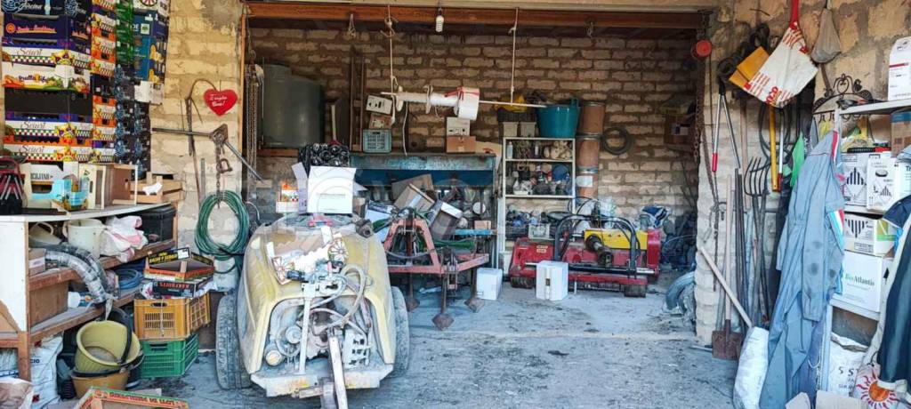 immagine annuncio 4 di 14