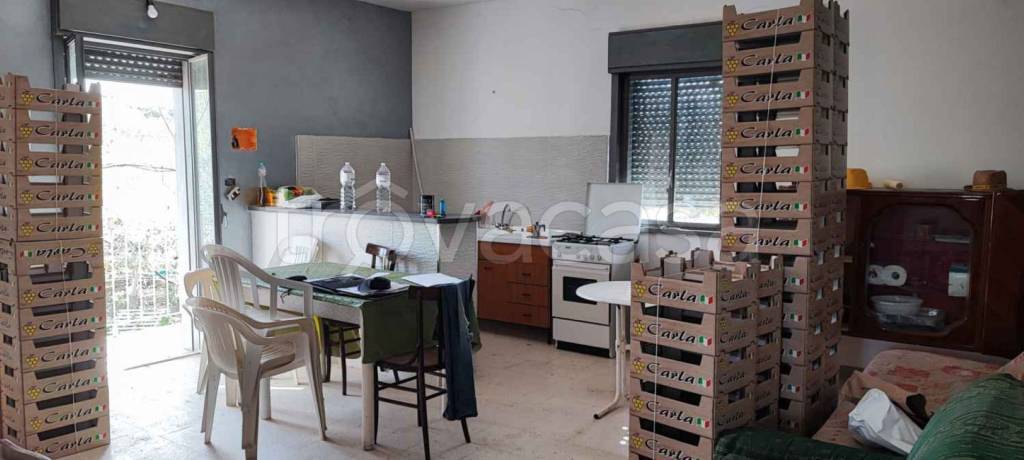 immagine annuncio 5 di 14