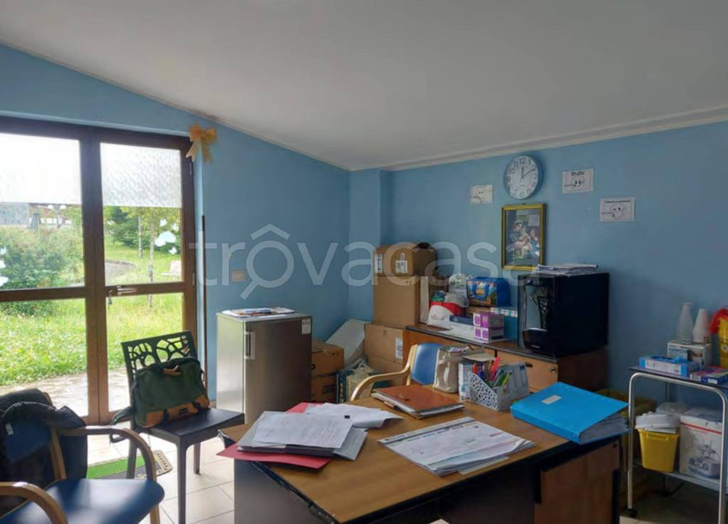 immagine annuncio 3 di 13