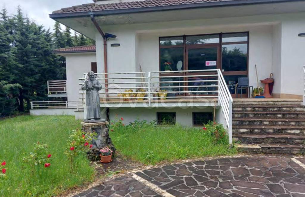 immagine annuncio 11 di 13