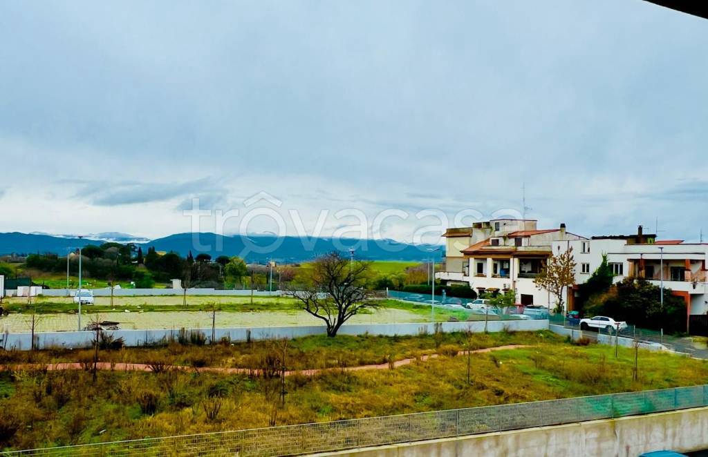 immagine annuncio 10 di 13