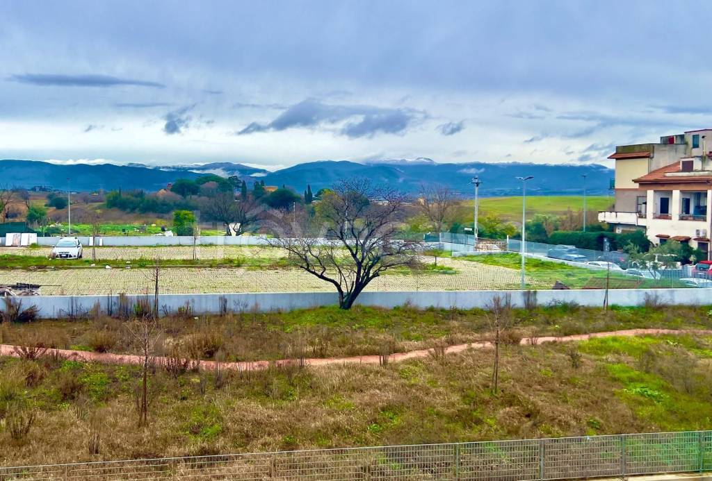 immagine annuncio 6 di 13