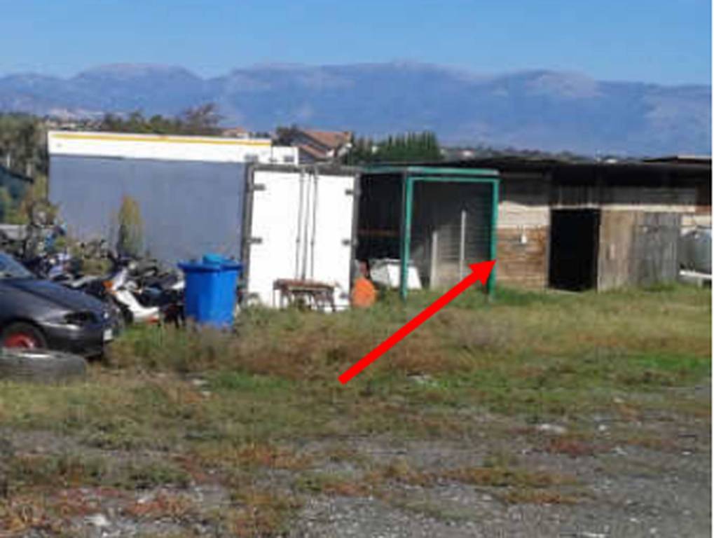 immagine annuncio 5 di 10