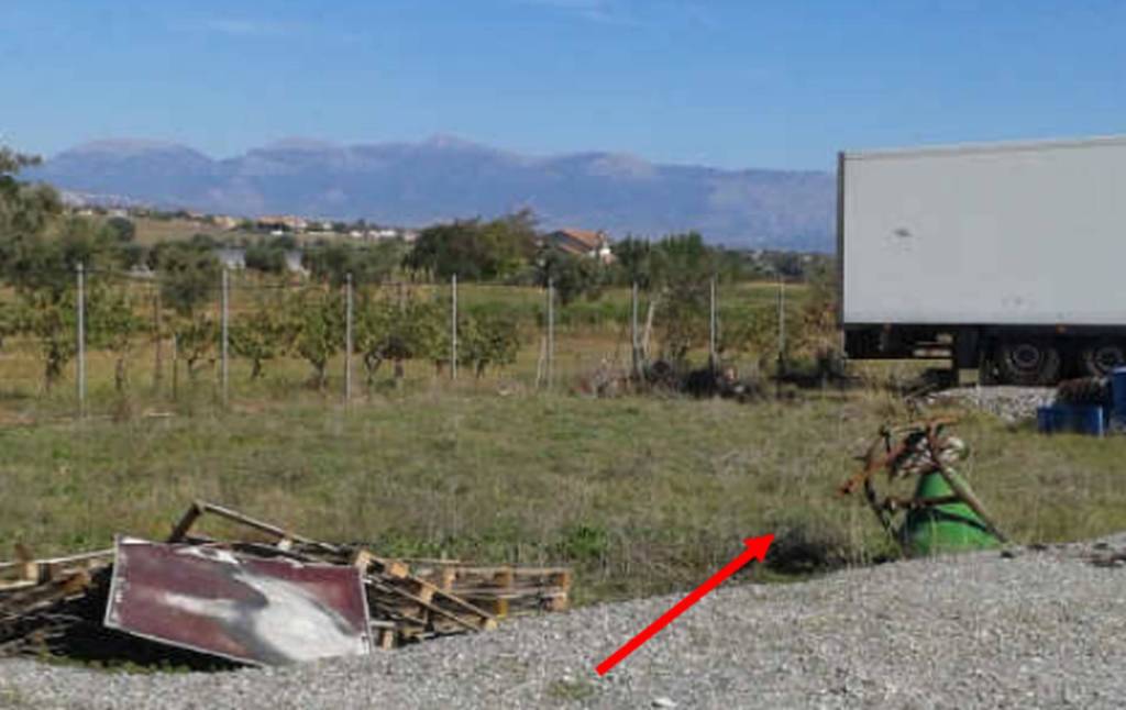 immagine annuncio 8 di 10