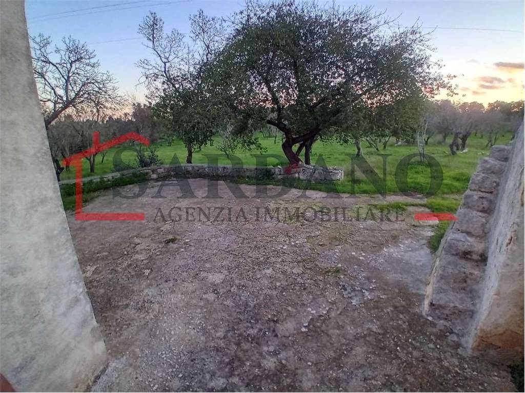 immagine annuncio 3 di 4