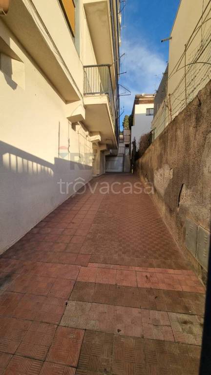 immagine annuncio 4 di 14